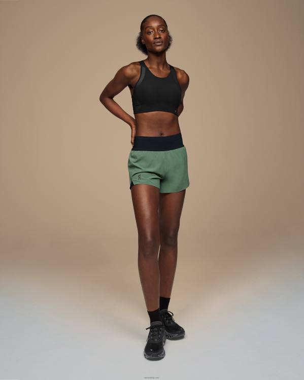 اللبلاب / الظل